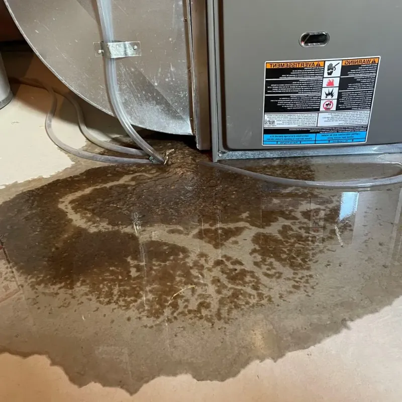 Pipe Burst and Leak Restoration in Garza County, TX